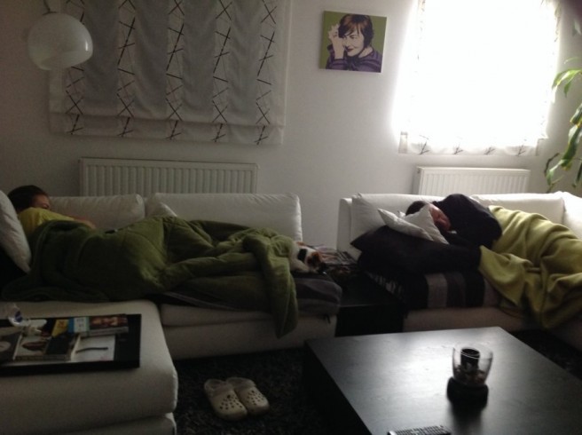 stan-jelenovac-blizu-busa-slika-35081390