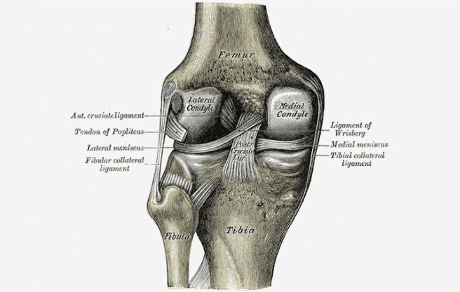 Rizartroza - bol u području bazalnog zgloba palca