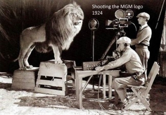 Snimanje MGM lava, 1924.