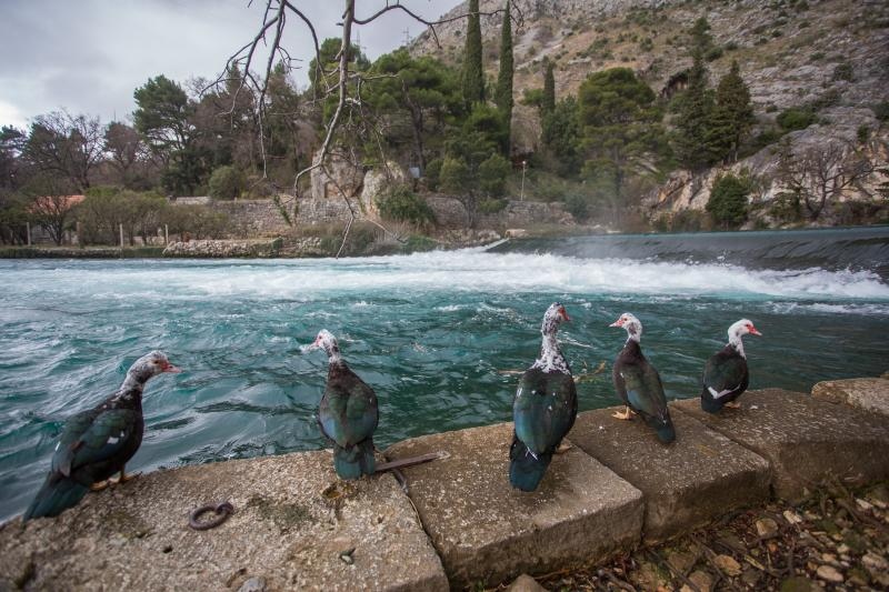 25.02.2015., Komolac, Dubrovnik - Izvor rijeke Omble i izvor pitke vode za grad Dubrovnik. Photo: Grgo Jelavic/PIXSELL