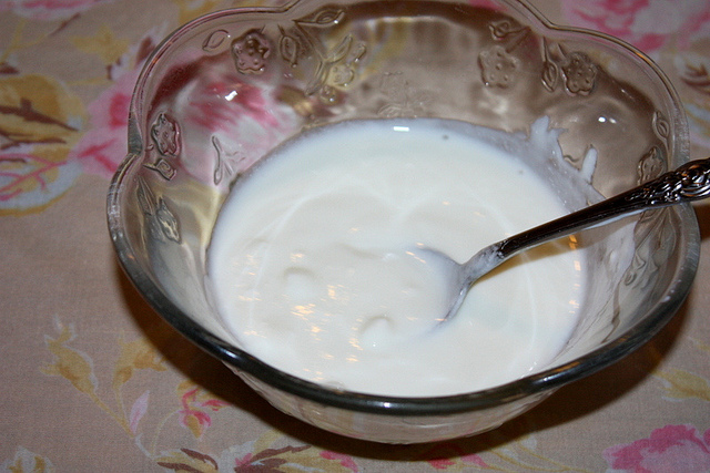 Običan jogurt