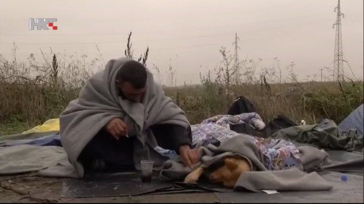 sirijac izbjeglica opatovac pas deka najsheraniji tekstovi