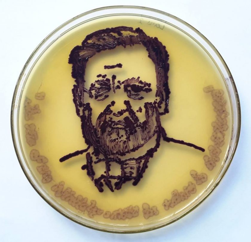 Louis Pasteur od bakterija