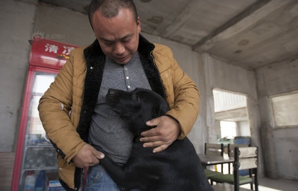kineski milijunaš pas psi bogatstvo najsheraniji tekstovi