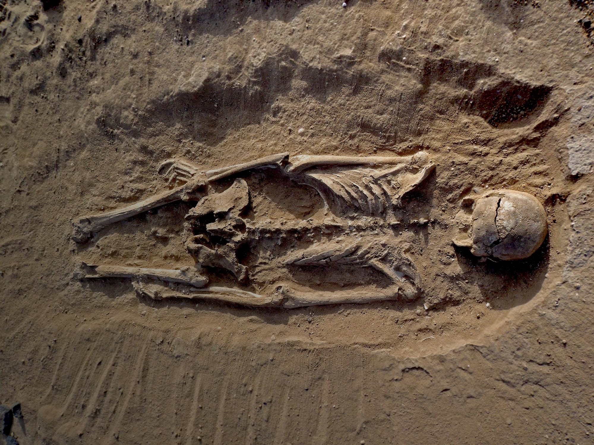 Kostur muškarca pronađen ležeći