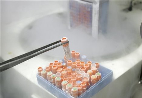 Znanstvenici utvrdili 10 puta manju kancerogenost kod matičnih stanica