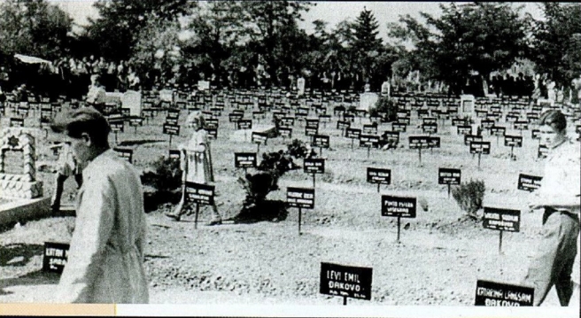 Židovsko groblje u Đakovu snimljeno pedesetih godina prošlog stoljeća