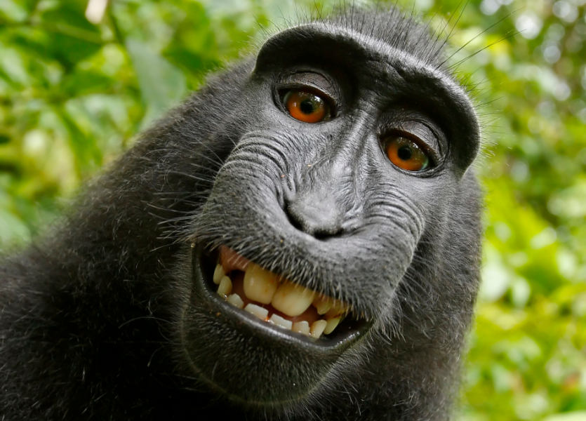 Xotinimning uyatli porno suratlari, ochiqchasiga fohisha