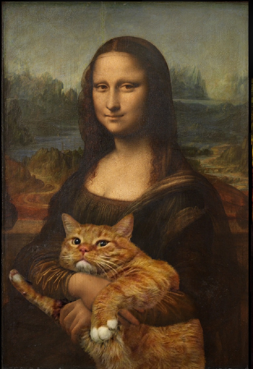 Mačka je jednako oduševljena Da Vincijevom Mona Lisom, kao i ona njome