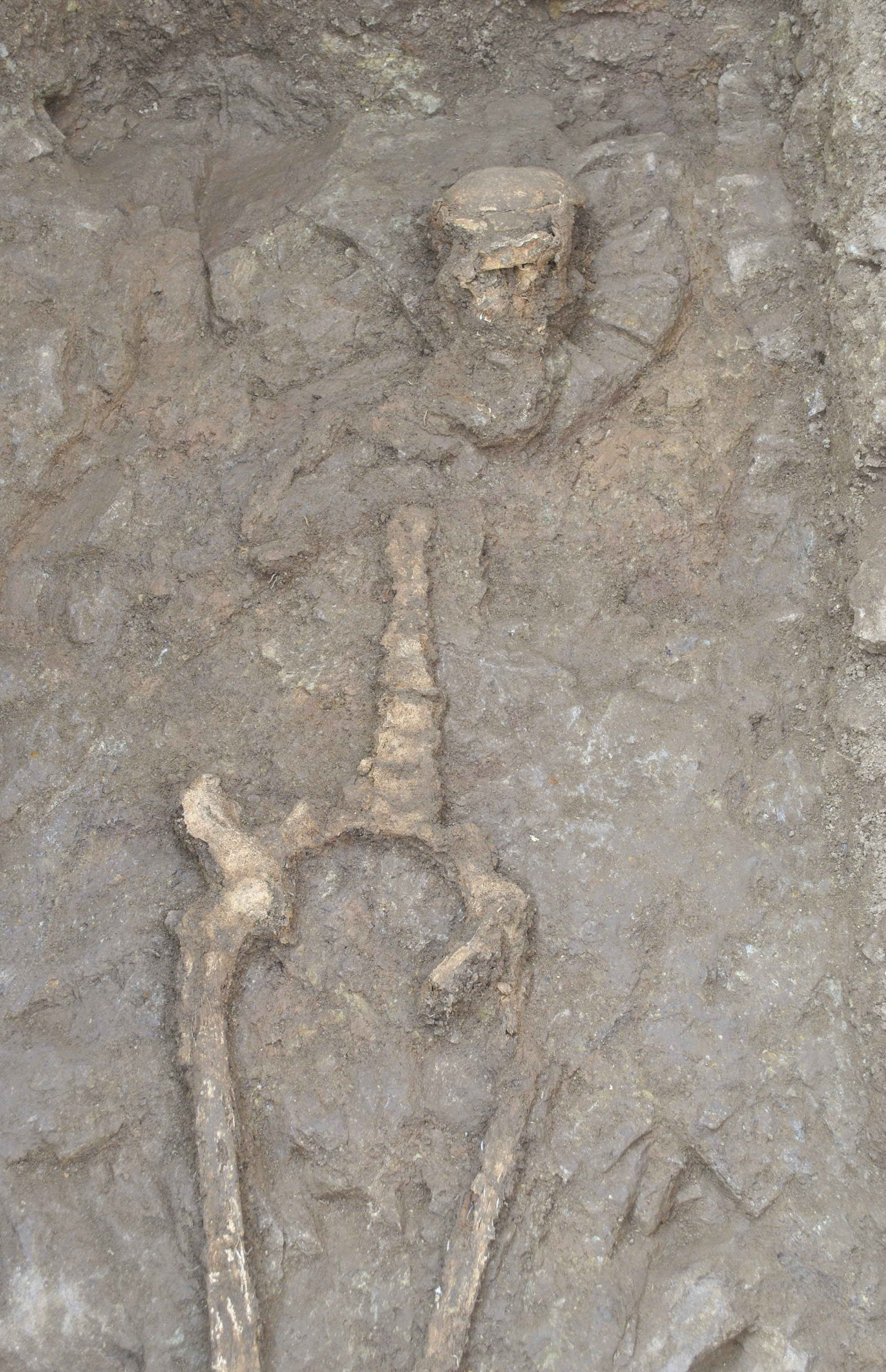 Arheolozi su 2015. godine na arheološkom nalazištu Bojna – Brekinjova Kosa koje se nalazi na području Grada Gline u Sisačko-moslavačkoj županiji, otkrili stare grobove čiji bi sadržaj mogao pružiti sasvim novu perspektivu na ranu srednjovjekovnu povijest Hrvatske. Naime, u ljeto te godine na lokaciji Brekinjova kosa pronađeno je 37 grobova koji datiraju u period između 7. i 9. stoljeća. Svi grobovi bili su bogato opremljeni, ali jedna grobnica čuvala je blago koje je sugeriralo da je tamo pokopan izuzetno moćan i bogat čovjek, možda rani hrvatski knez. Na slici su kosturni ostaci pokojnika sahranjenog u grobu 13