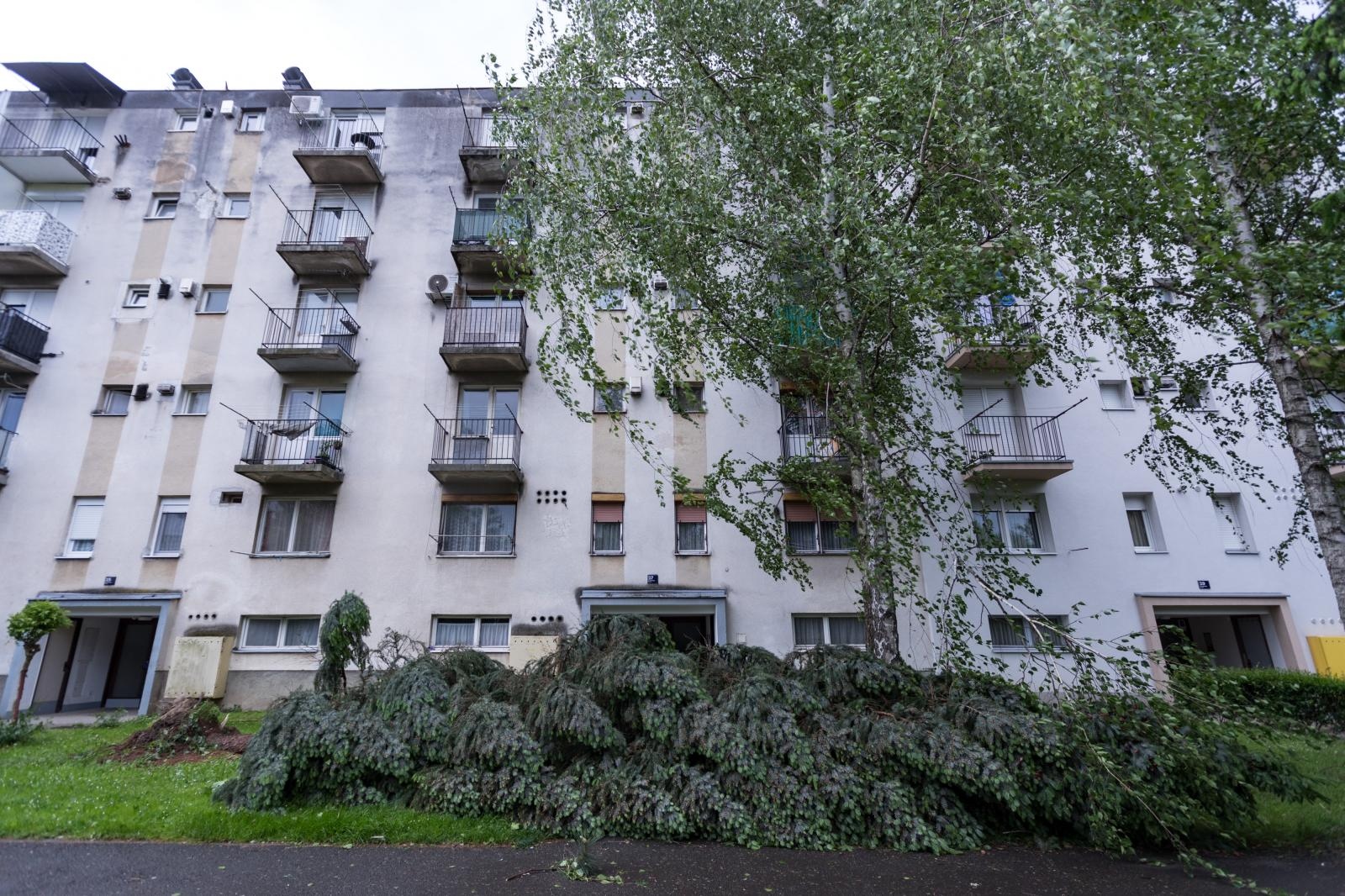 Srušeno drvo ispred zgrade u ulica Josipa Slavenskog na Prečkom
