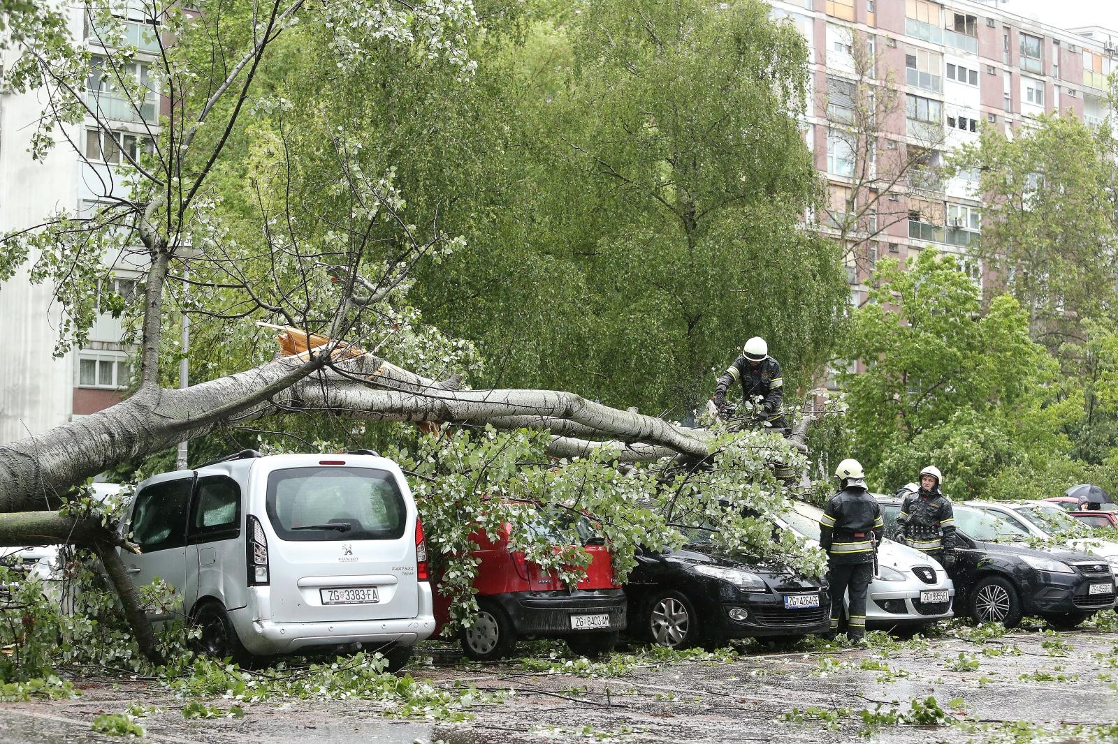Vatrogasci su danas intervenirali i u naselju Sopot gdje se stablo srušilo na pet parkiranih automobila i prouzročilo ozbiljnu štetu na vozilima.