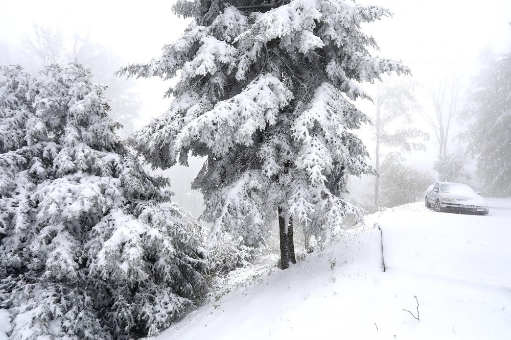 S cesti prema Sljemenu tek su maknuta stabla koja je srušio vjetar, a već su zatrpane snijegom