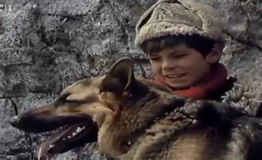 Vuk Samotnjak, 1972.-Slavko Štimac bio je zvijezda mnogih dječjih filmova, a njegovo prvo pojavljivanje na filmu dogodilo se u filmu Vuk Samotnjak. On u planini nađe velikog psa sličnog vuku i sprijatelji se s njim. Seljani, naime, smatraju da se radi o vuku kojeg treba ubiti, zbog čega ga Ranko, kojeg Štimac utjeljovljuje, skriva i potajno hrani. Jedna od najpoznatijih scena iz filma je trenutak u kojem Štimac pogleda u ogrlicu psa i kaže “Piše hund, al’ piše i Mile”.