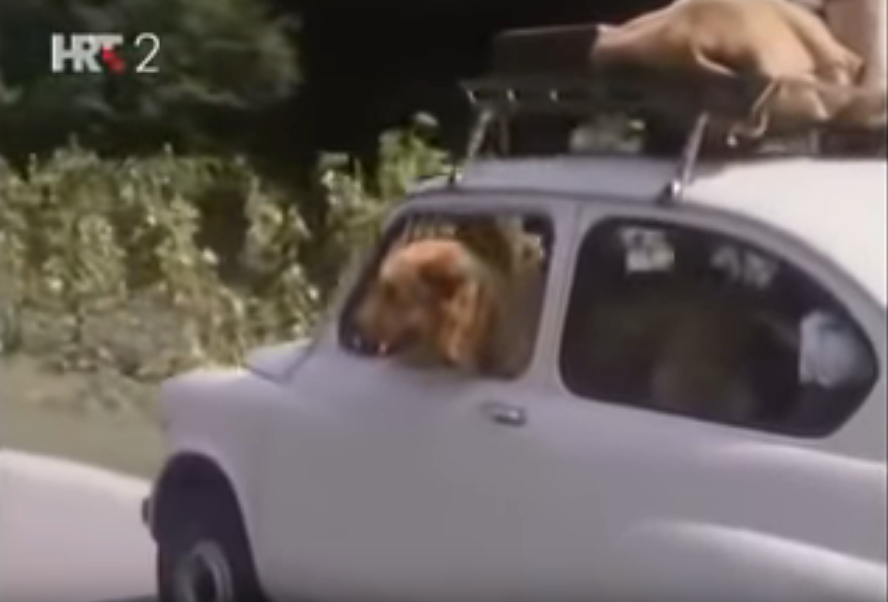 Ne daj se Floki, 1985.- Ne daj se, Floki, serija je o psu lutalici, Flokiju, koji pokušava pronaći gazdu među stanarima nove zagrebačke gradske četvrti. Radnja prati i stanare, naročito obitelj kod koje Floki silom prilika pokušava useliti. Godinu dana kasnije od izlaska serije, 1986. godine, snimljen je istoimeni film.