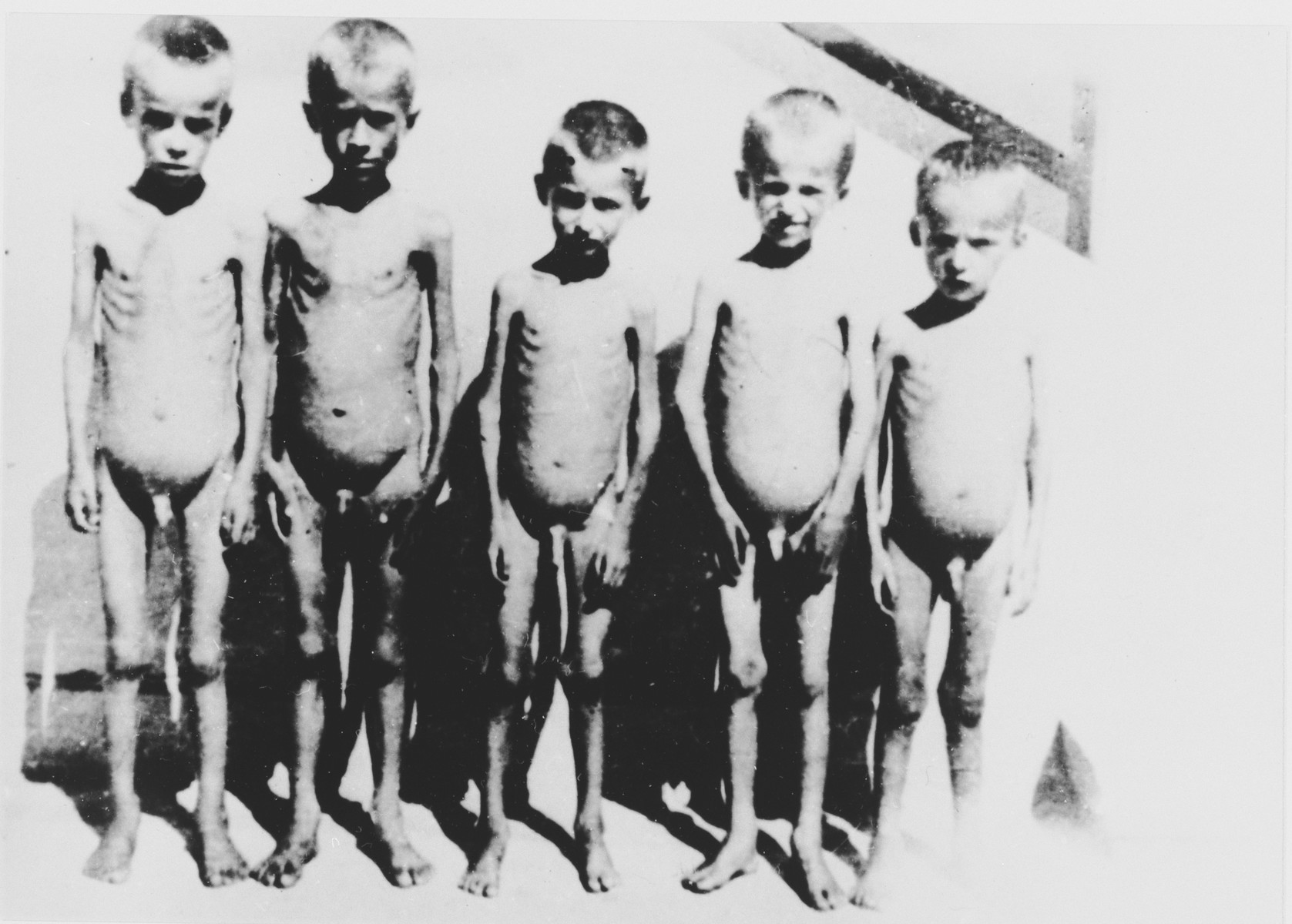 Hrane za djecu bilo je strašno malo, a bolesti i smrti bile su česte. U logoru se u prosjeku nalazilo po 2000 djece.