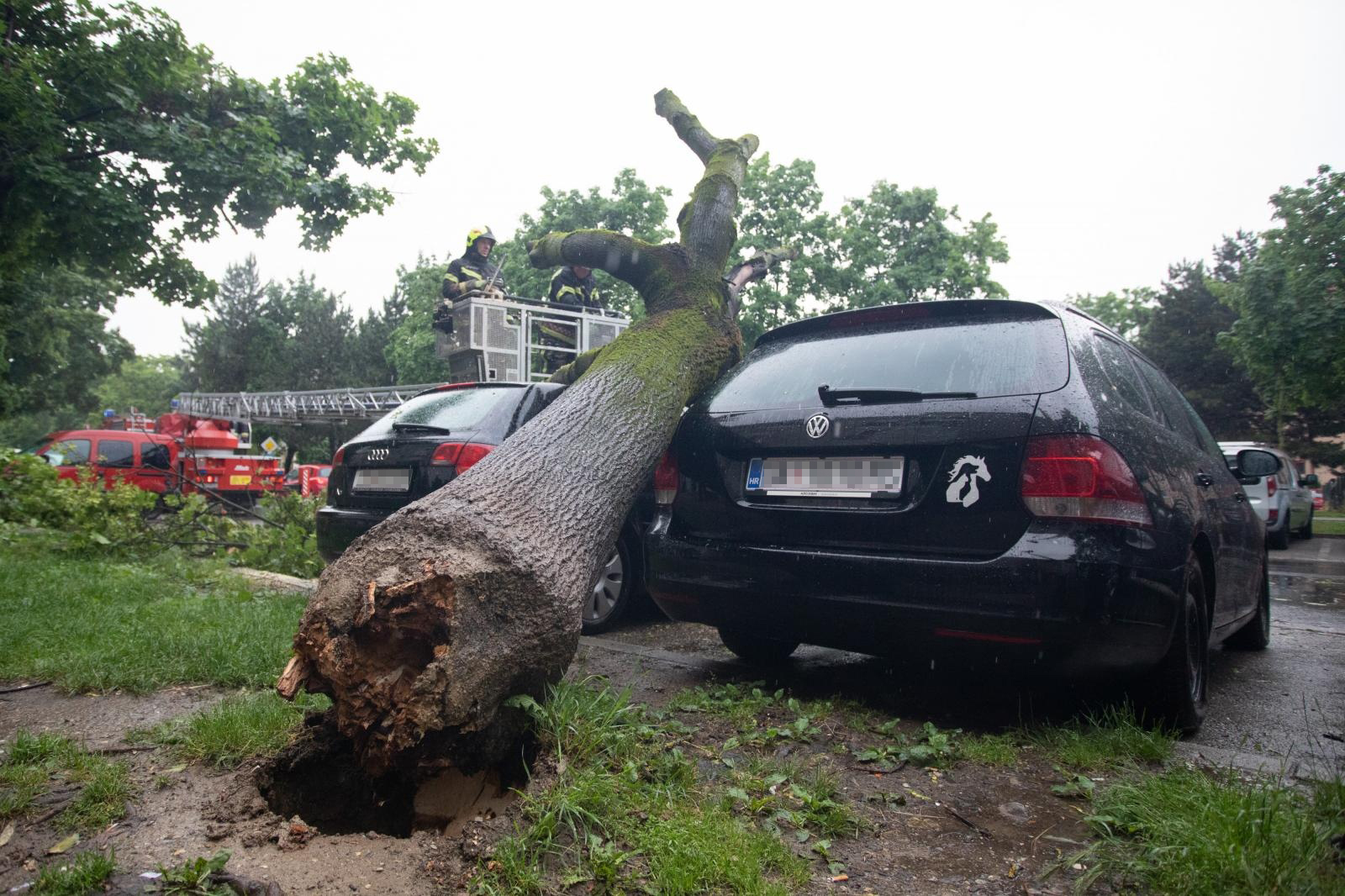 U Zagrebu je jutros počela kiša, pa je moguće da je drvo bilo trulo i natopljeno vodom, pa da je zbog toga palo.