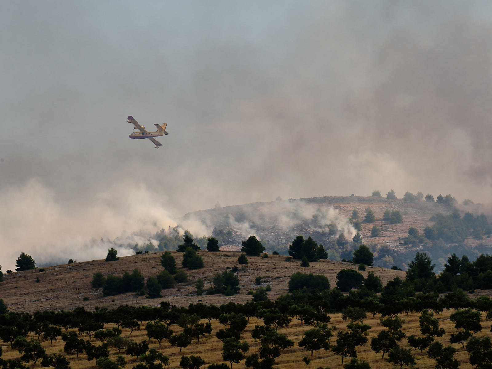 Sedam protupožarnih zrakoplova sudjeluje u gašenju požara na lokaciji Vrpolje-Vrsno, Žaborić te na području Primoštena u Šibensko-kninskoj županiji, izvijestili su iz MORH-a.