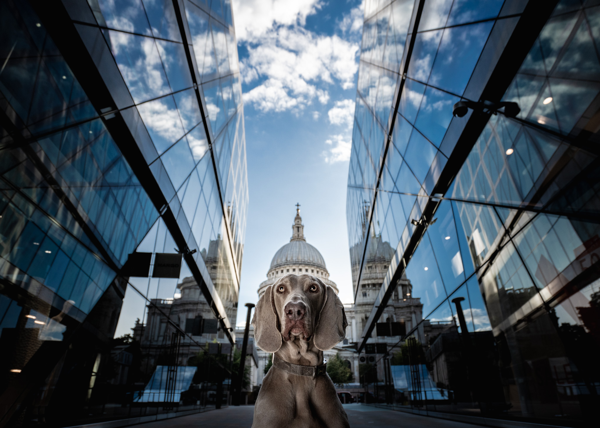 Fotografija 'Saint Paul's Cap', autora Alexa Classa snimljena u Londonu. 