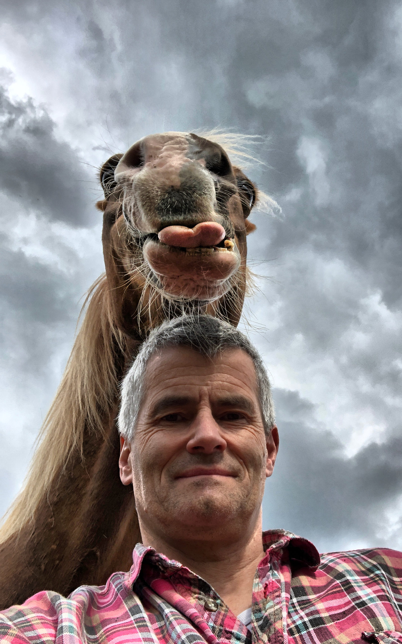 Fotografija 'Funny horse' fotografa Petera von Shnena snimljena u Njemačkoj. 