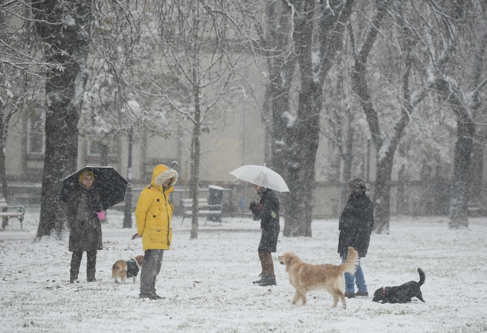 Ljudi su izašli u šetnje na ulice, a snijegu su se poveselili i kućni ljubimci./ Marko Lukunic/PIXSELL