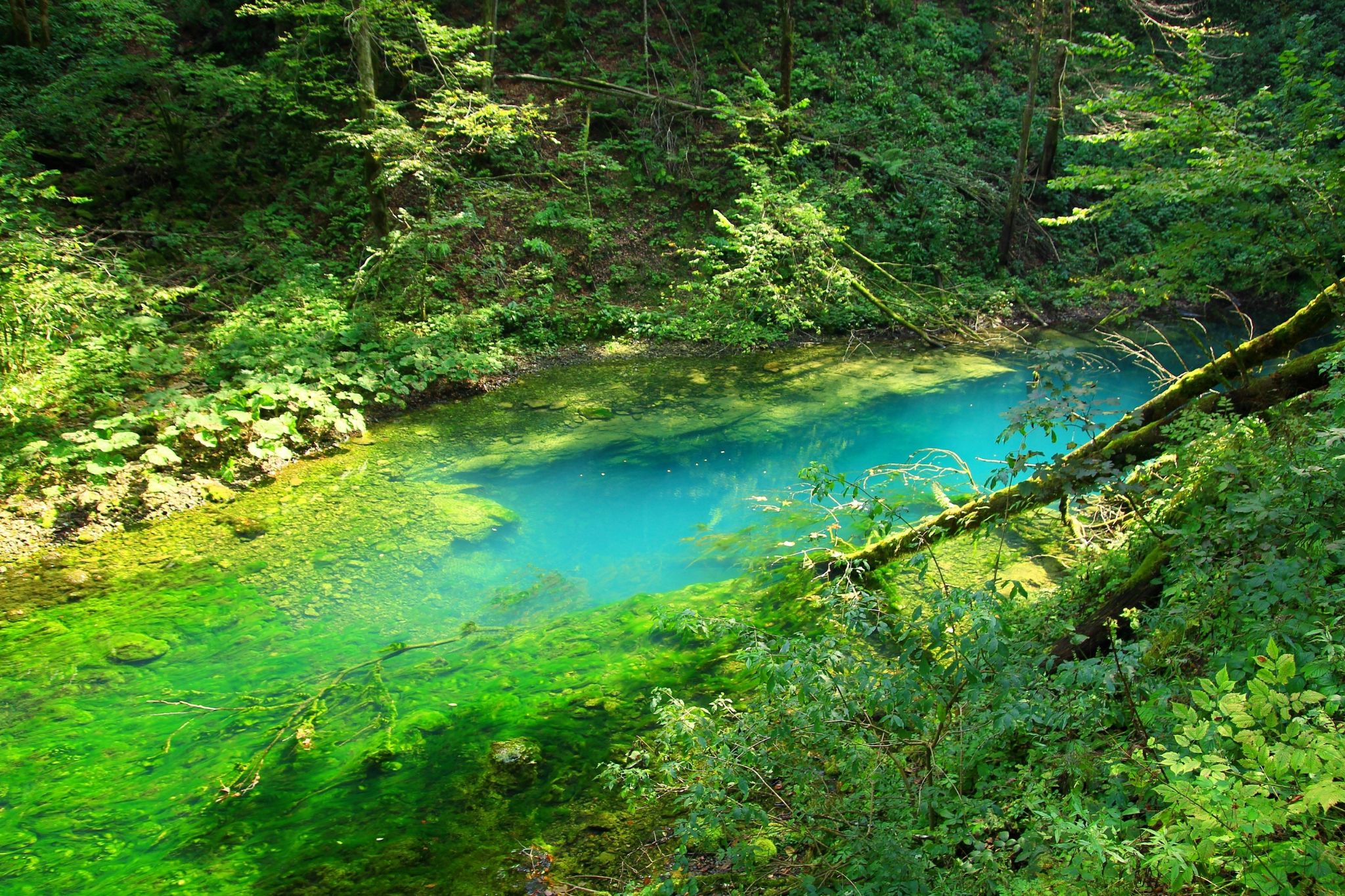 Kanjon Kamačnik: Izlet u prirodu savršen za sve uzraste | Super1.hr