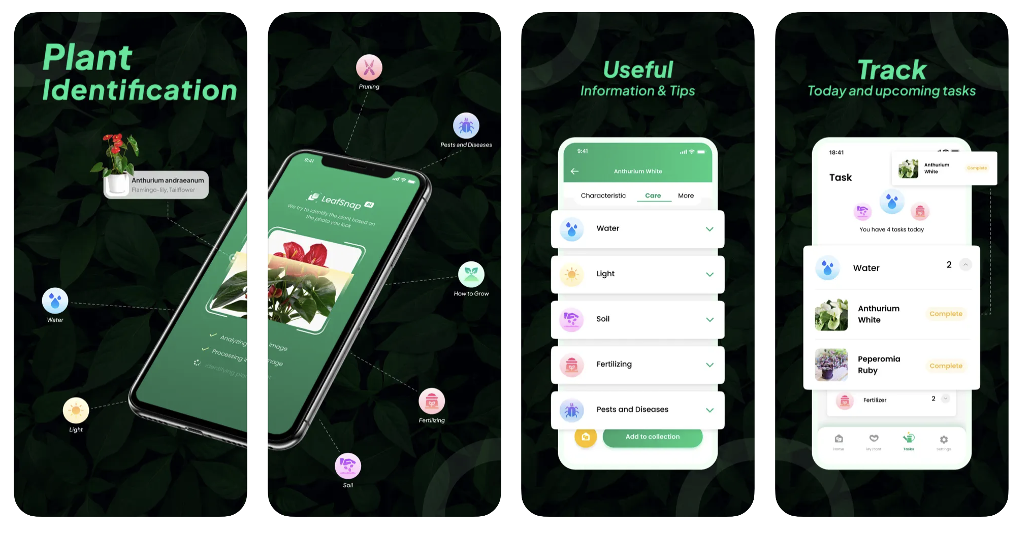 LeafSnap aplikacija za biljke