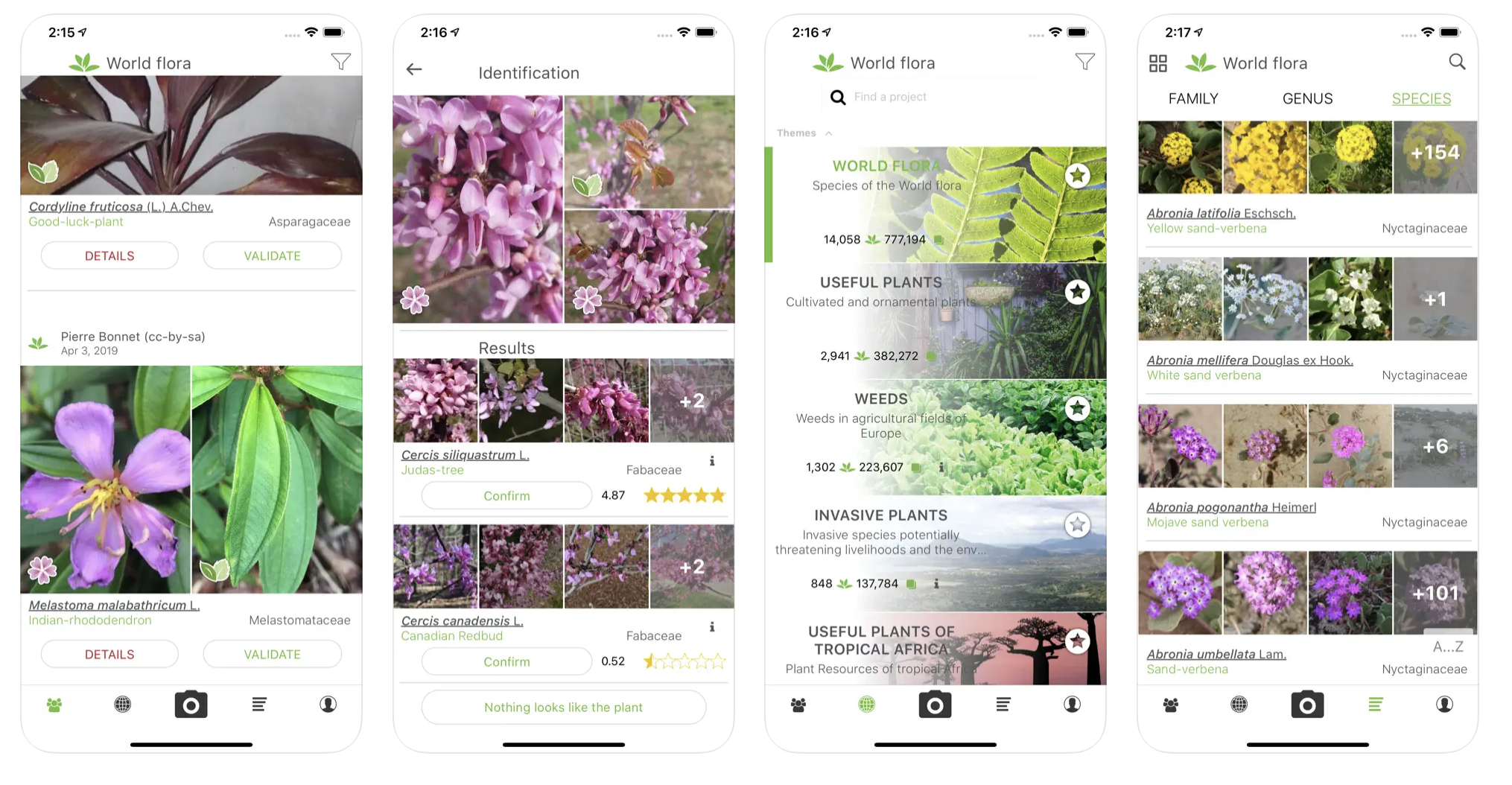 aplikacija za biljke plantnet