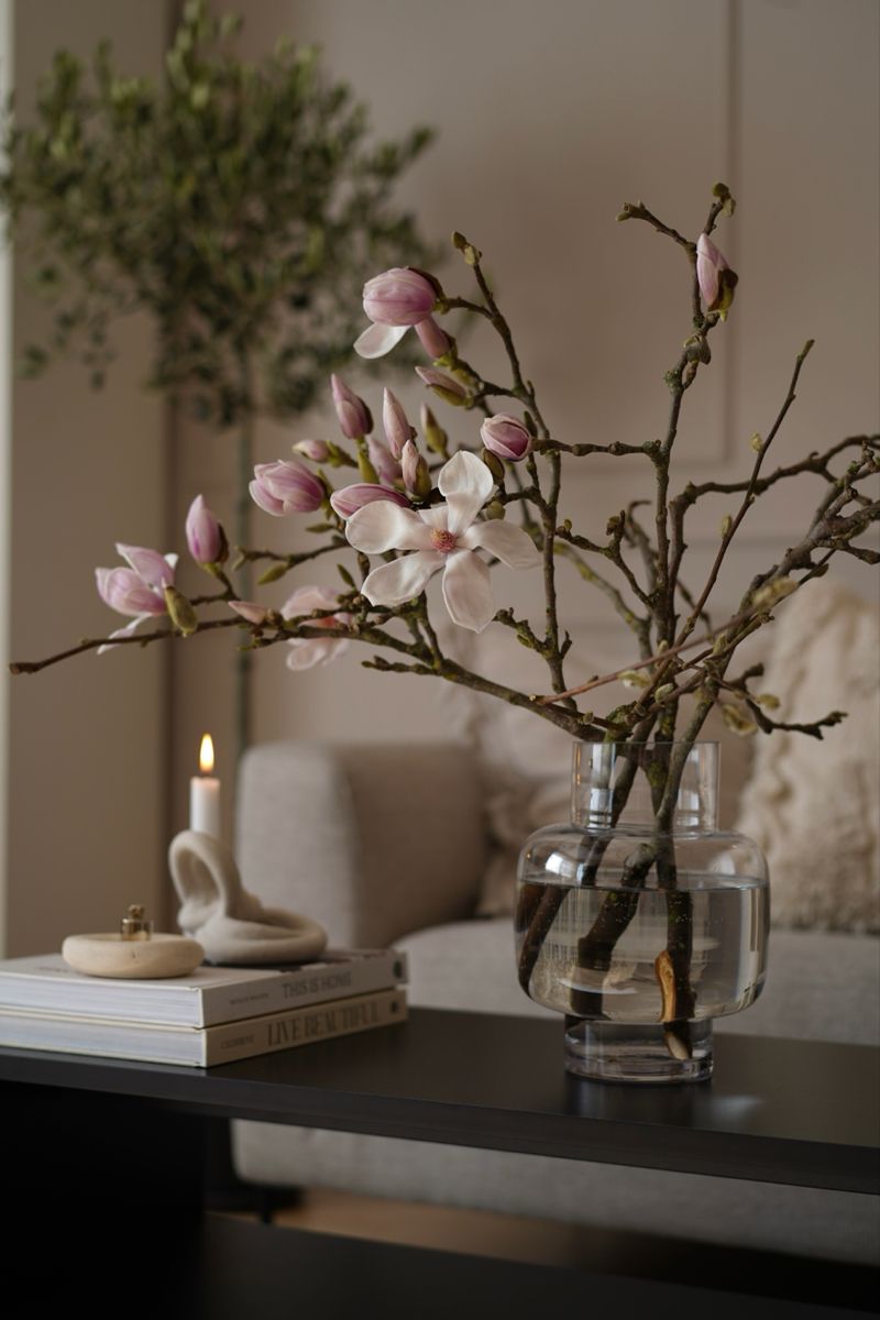 zimsko cvijece magnolija