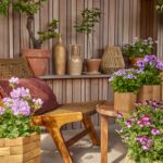 Imena ovog proljetnog cvijeća često su jednako šarmantna kao i njihovi cvjetovi