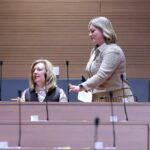 Obračun u Saboru. SDSS-ovka Dabri: ‘Vi pucate po njivama!’; Dabro: ‘Istina, a vaši po svadbama’
