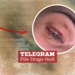 Božinović se konačno oglasio o mučnom slučaju nasilnika koji je prebio maloljetnicu. Traljave policajce šalje na edukaciju