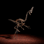 Aukcijska kuća u Londonu prodavat će dobro očuvani kostur dinosaura