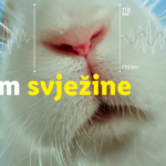 “Ritam svježine”: Lidl testira svježinu kroz kreativnu kampanju na društvenim mrežama