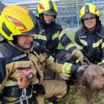 Ovog preslatkog psića spasili su zagrebački vatrogasci. Izvukli su ga iz šahta dubokog osam metara