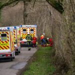 Tragedija u Njemačkoj: tijekom potrage za pisanicama drvo palo na ljude, među poginulima majka i dijete