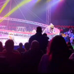 Video. Urušila se zaštitna ograda u cirkusu u Rusiji, tigar skočio među gledatelje