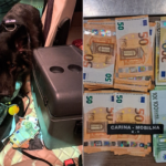 Foto. Srpski kamiondžija na granici skrivao hrpu eura, plan mu propao kad je u kabinu ušao Buli