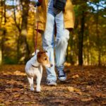 Vlasnik psa dobio 5000 eura odštete zbog duševne boli. Vozač mu pregazio ljubimca pa pobjegao