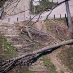 Foto. Tužni prizori s Medvednice. Nedavna oluja razorila omiljeno izletište Zagrepčana