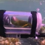 Hit video s Bahama. Papagaj u minijaturnoj podmornici istražuje tajne morskog dna