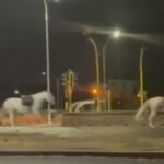 Video. Policajac aktivirao pirotehniku i uplašio konje u Rimu, razbježali su se diljem grada