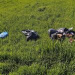 Genijalno. Gospodin iz Bilja na polju našao ilegalno odbačeno smeće pa ga odnio pred vrata vlasnika u Osijeku