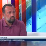 Veterinar o stanju s afričkom svinjskom kugom u Hrvatskoj: ‘Selo gori, a naš ministar se češlja’