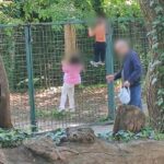 Foto. Zagrebački ZOO zgrožen ponašanjem nekih posjetitelja: ‘Pogledajte samo prizor za slike’