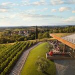 Na moru ste i želite posjetiti dobre vinarije? Bacite oko na naš vodič kroz dvije top vinske regije