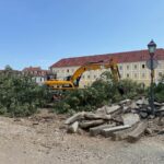 Foto. U Karlovcu HDZ-ova vlast dala posjeći stoljetne lipe. Gradonačelnik: ‘Nikada nisu smjele biti ni posađene’