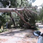 Split se priprema za najavljeno nevrijeme: ‘Ne idite na Marjan, izbjegavajte boravak na otvorenom’