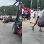Video. Petogodišnjak u plićaku u Italiji ugledao rijetkog morskog psa dugog 4,5 metra, izvukli ga viličarem
