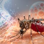 Virus Zapadnog Nila širi se Europom: u Grčkoj potvrđen 21, a u Italiji 20 slučajeva